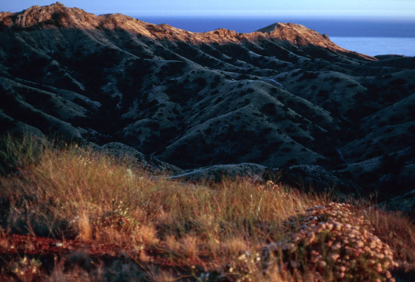 Las Torres from Coches Prietos Road, Santa Cruz Island