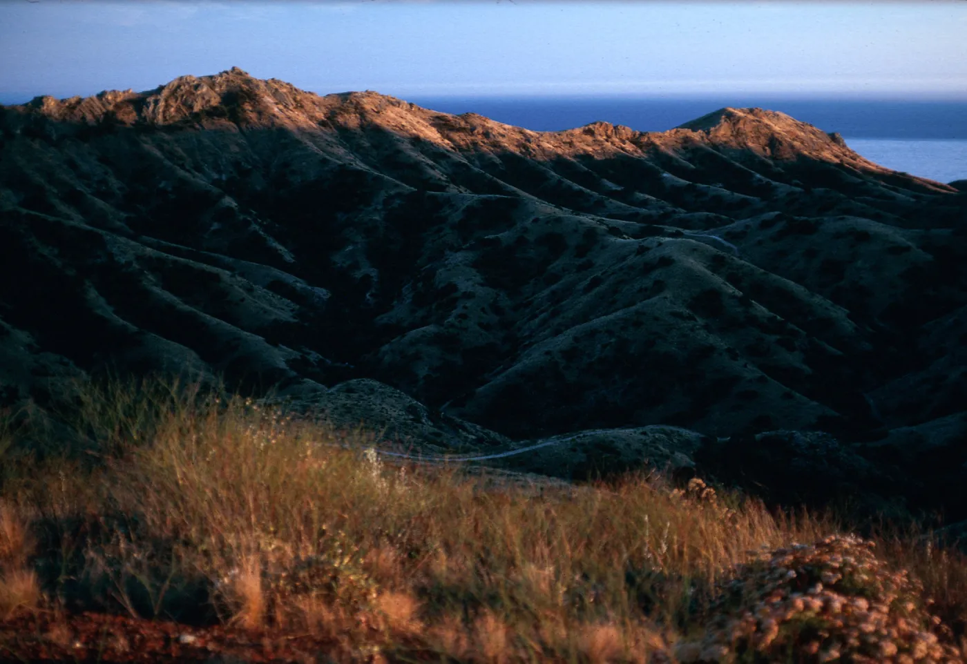Las Torres from road to Coches Prietos, Santa Cruz Island
