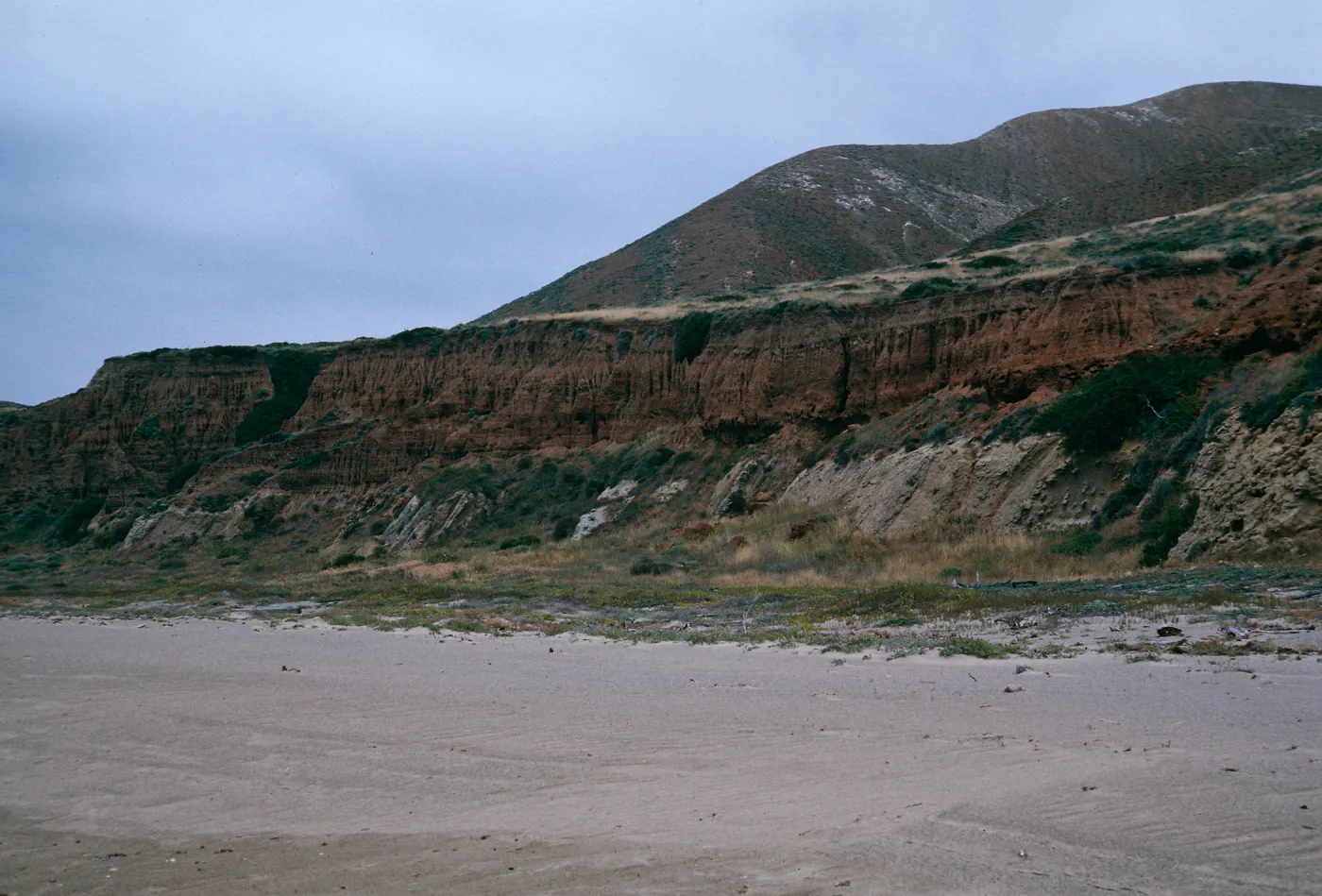 bluffs at Pozo Beach, Santa Cruz Island