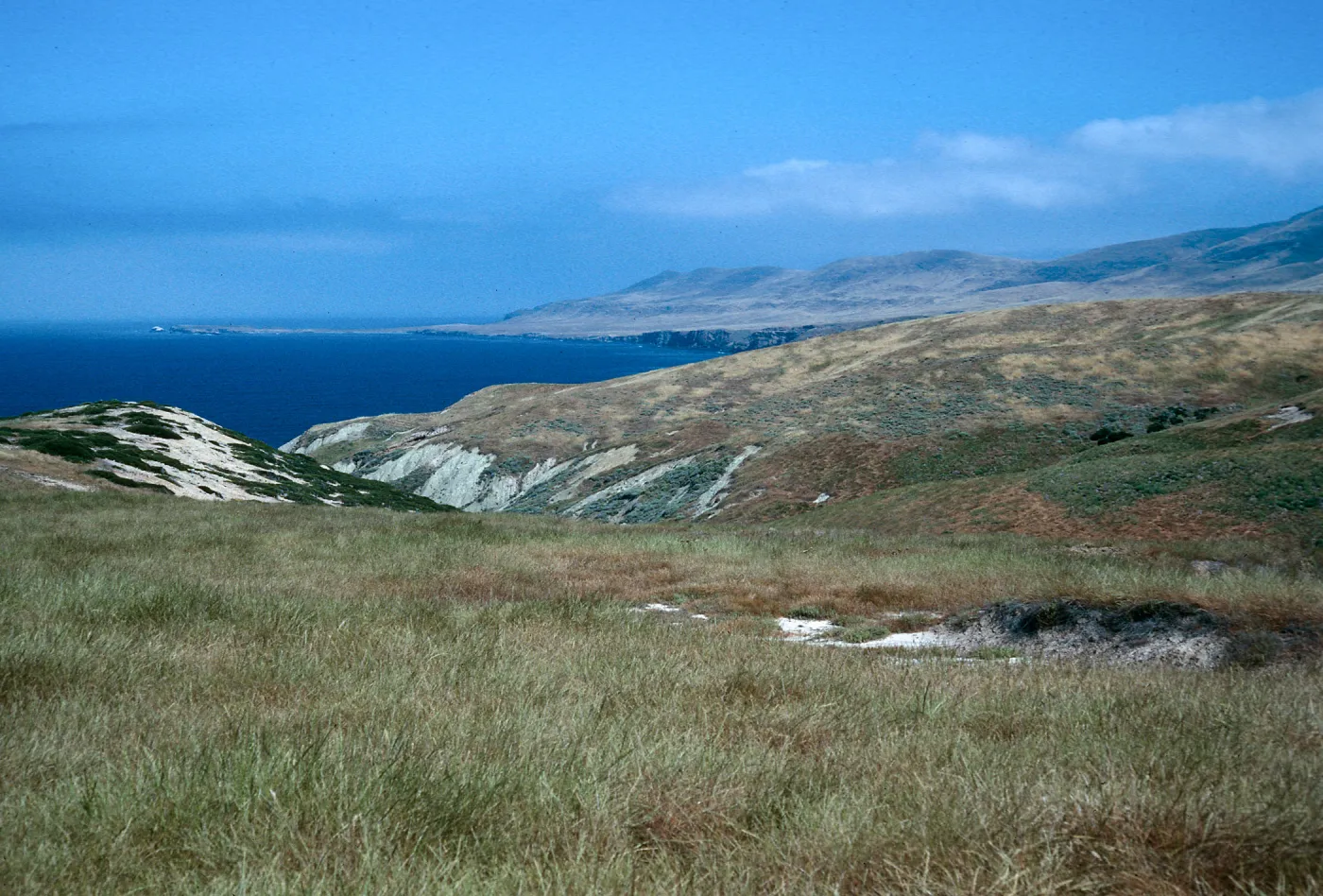 West end, Santa Cruz Island