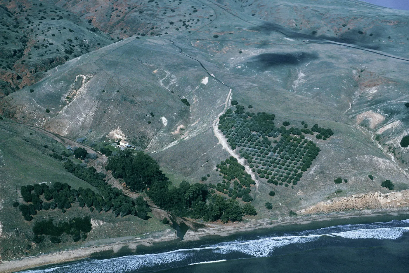 Smugglers Ranch & vicinity, Santa Cruz Island