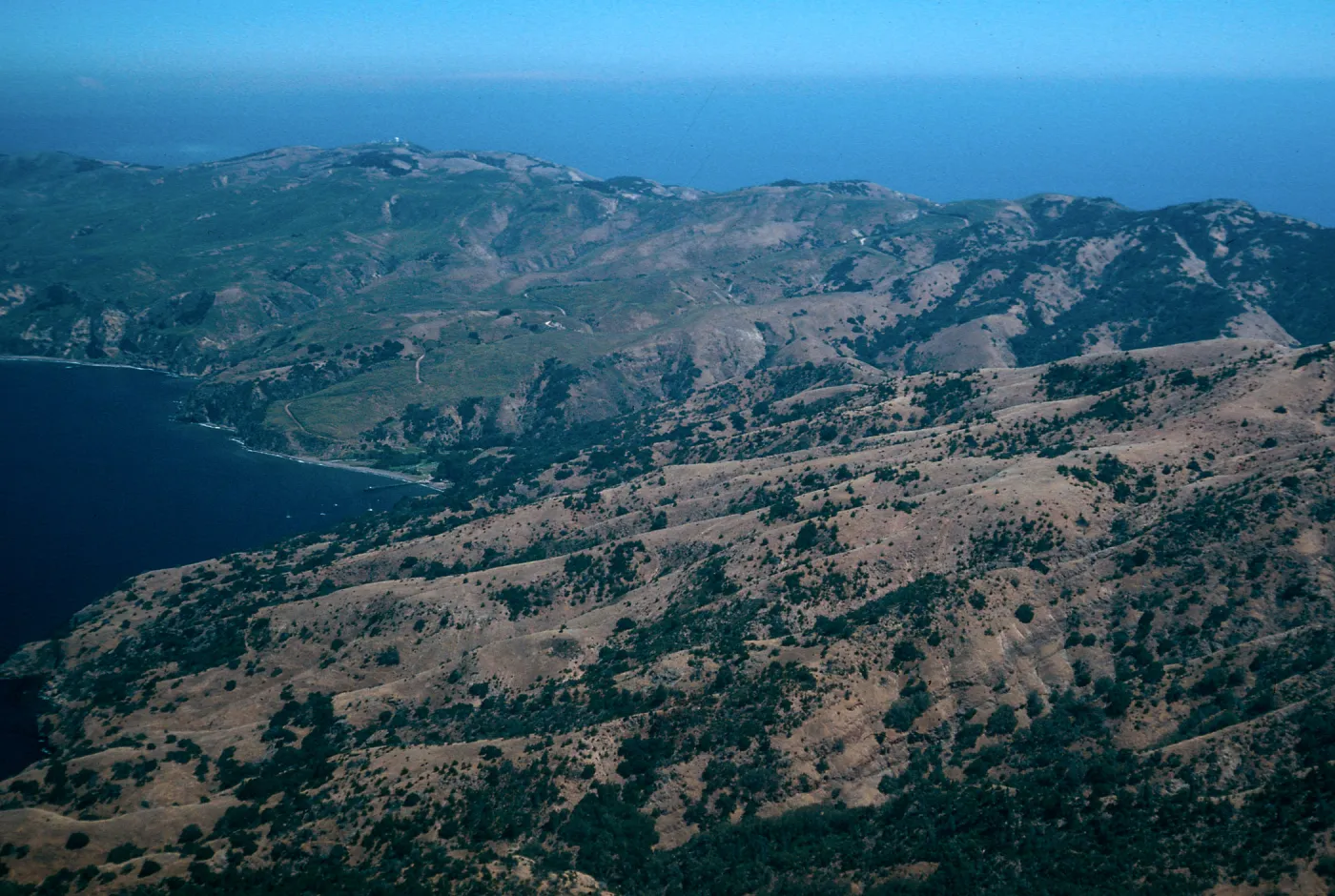 North side of Prisoners Harbor, Santa Cruz Island