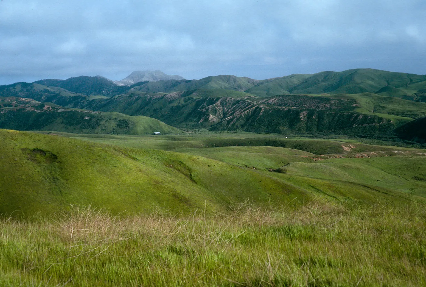 Christy barn, from road to Fraser Point, Santa Cruz Island
