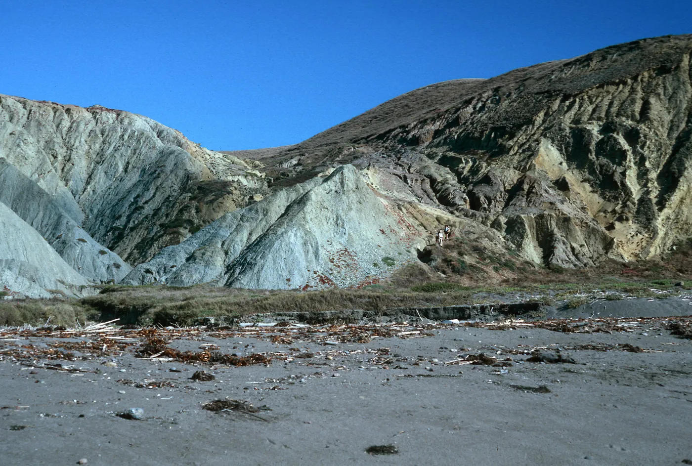 coastal bluffs, South end of Christy Beach, Santa Cruz Island