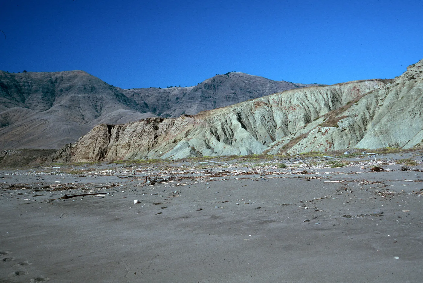 coastal bluffs, South end of Christy Beach, Santa Cruz Island