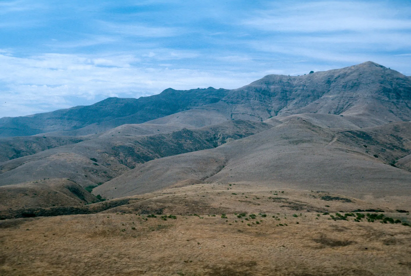 North ridge from Christy barn, Santa Cruz Island