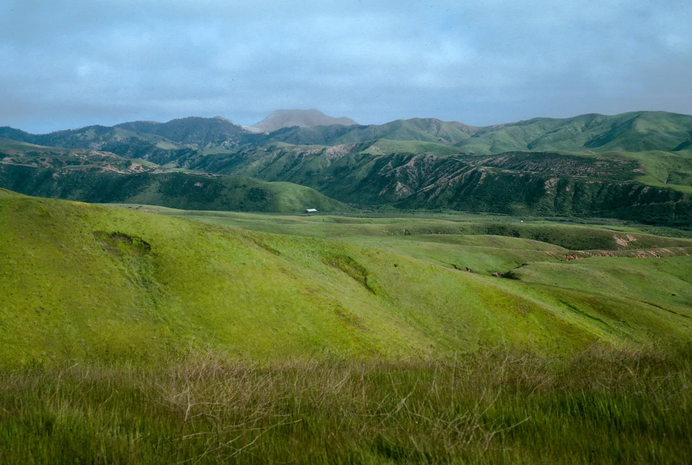 Christy barn, from road to Fraser Point, Santa Cruz Island
