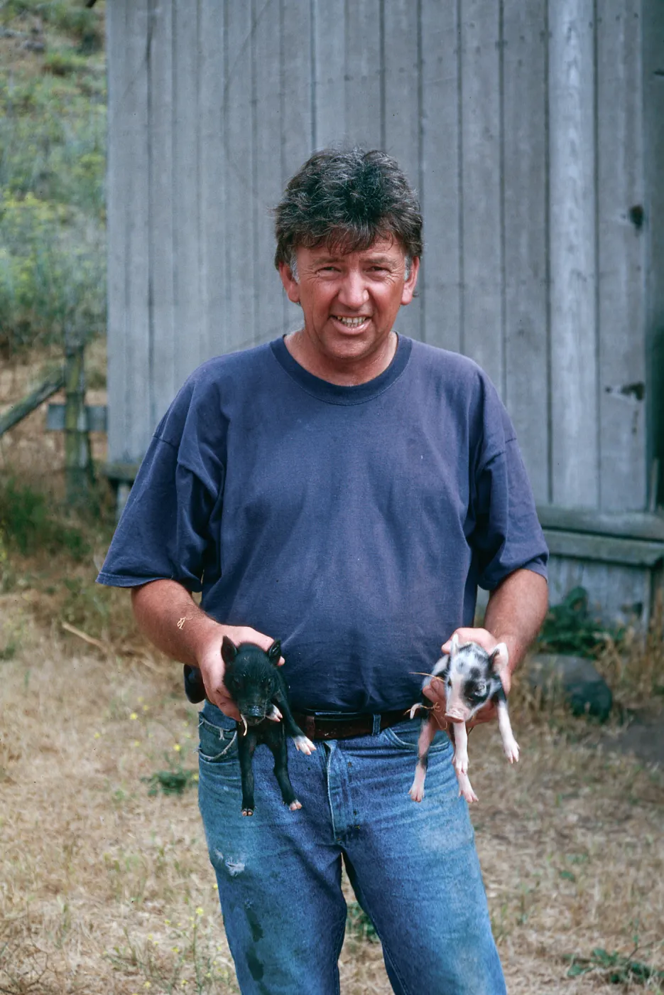 Keith Herold w/baby pigs, Christy barn, Santa Cruz Island