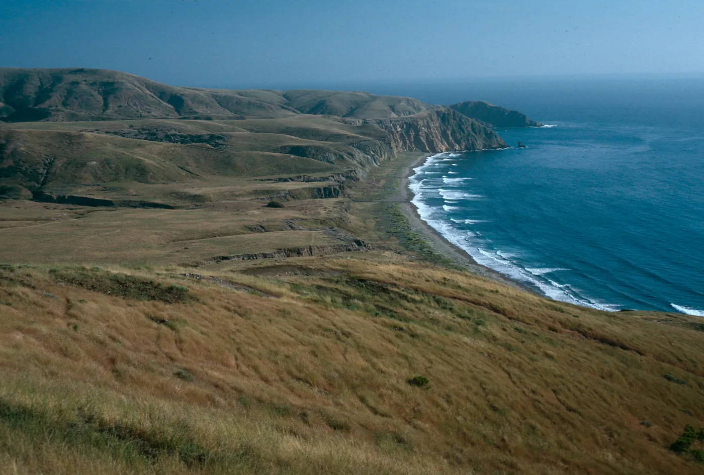Christy Beach, Santa Cruz Island