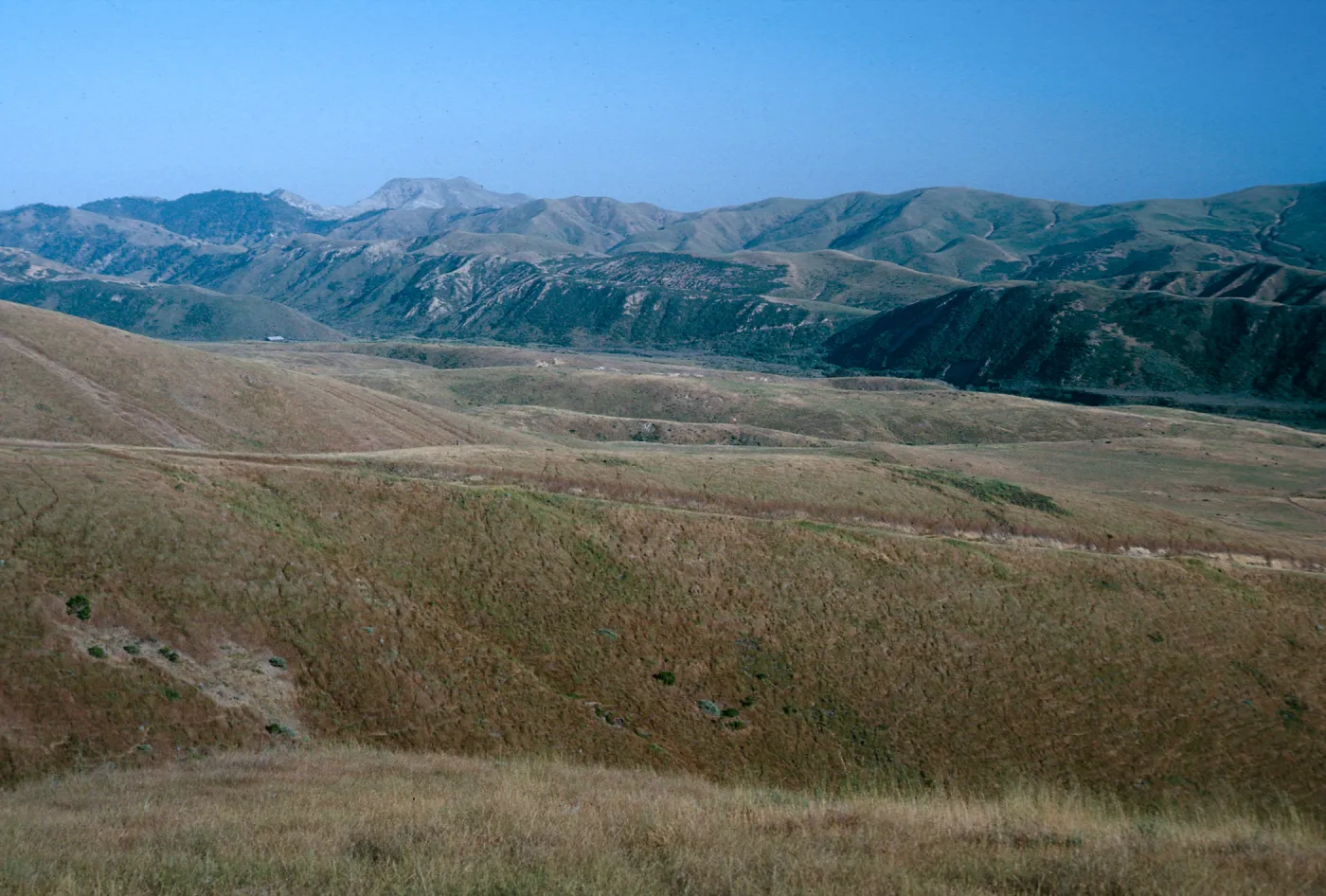 view of Christy barn, Santa Cruz Island