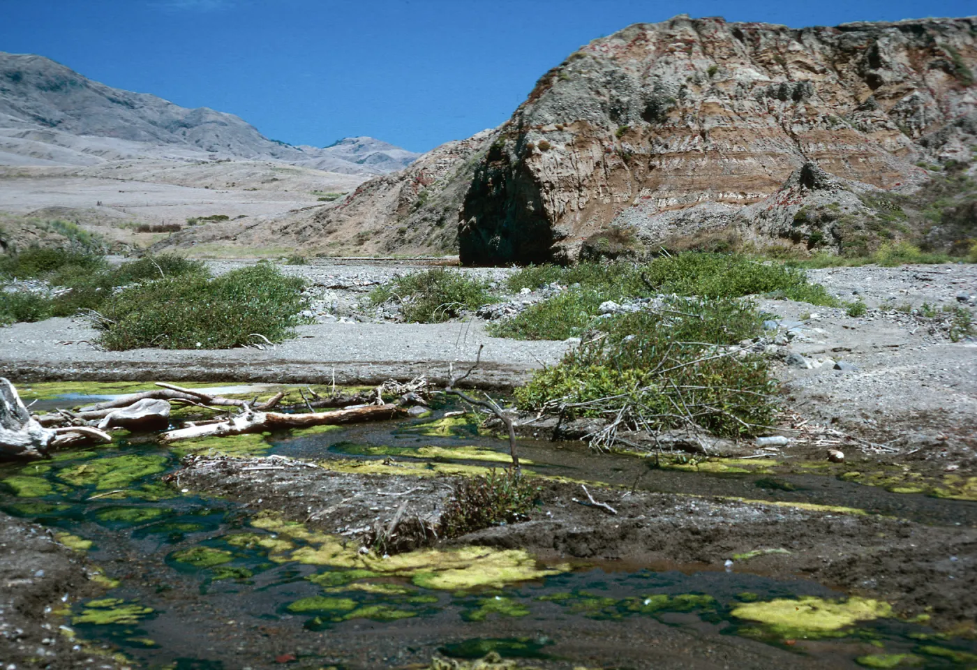 mouth of Christy Canyon, Santa Cruz Island