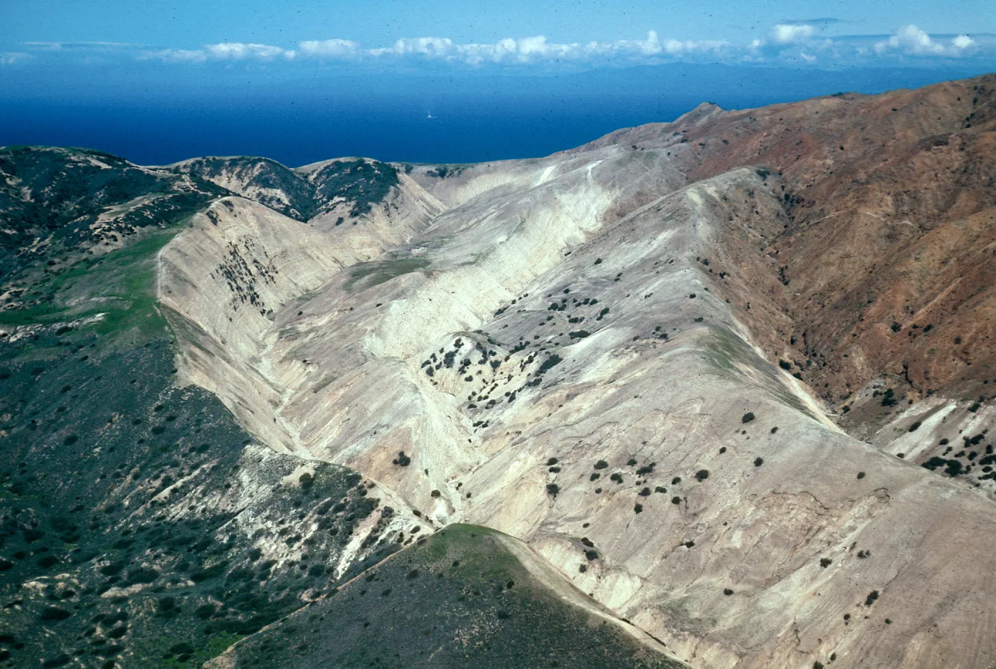 South side, Stanton Ranch/Gherini fence line, Santa Cruz Island