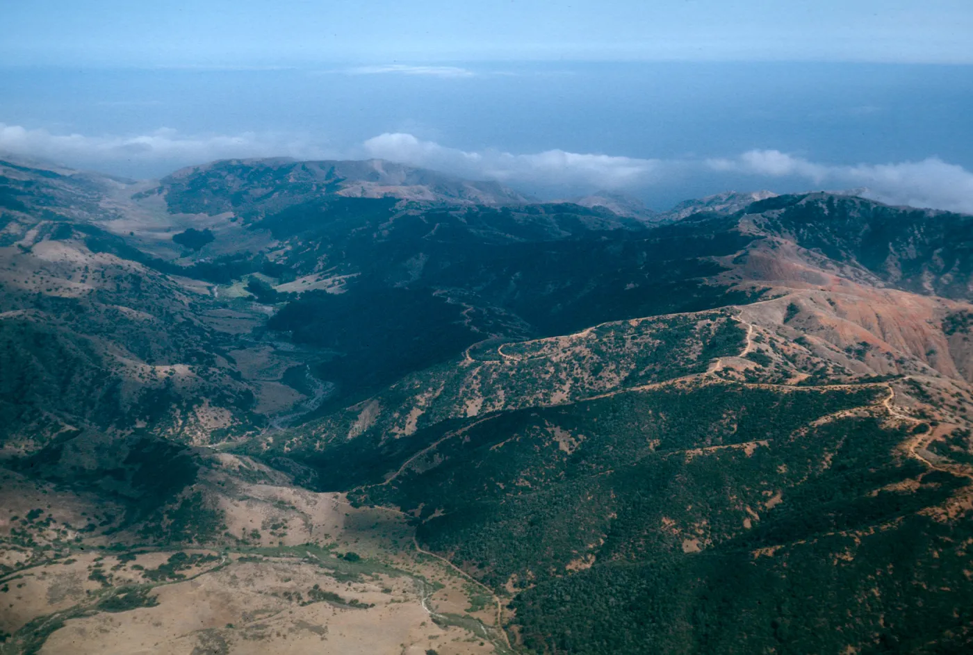 Central Valley, Santa Cruz Island
