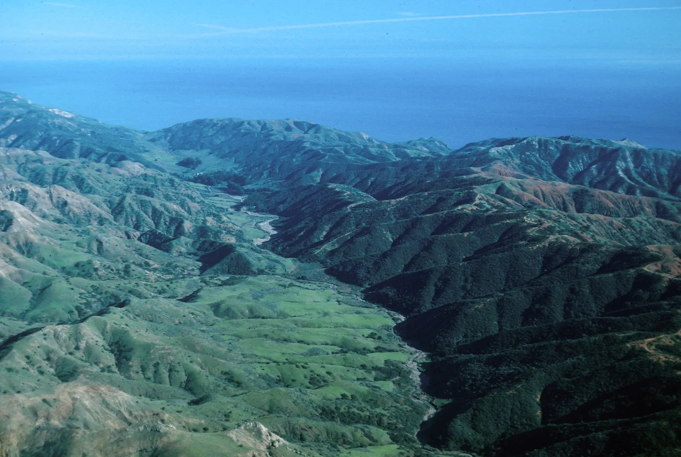 Central Valley, Santa Cruz Island