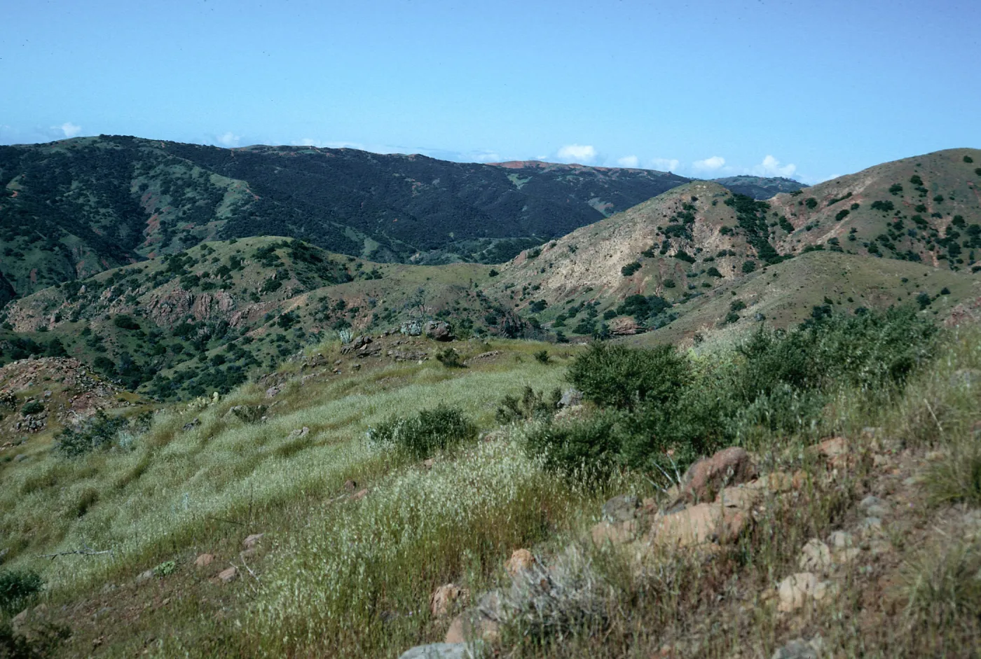 Central Valley from trail to Peak 1848 East, Santa Cruz Island