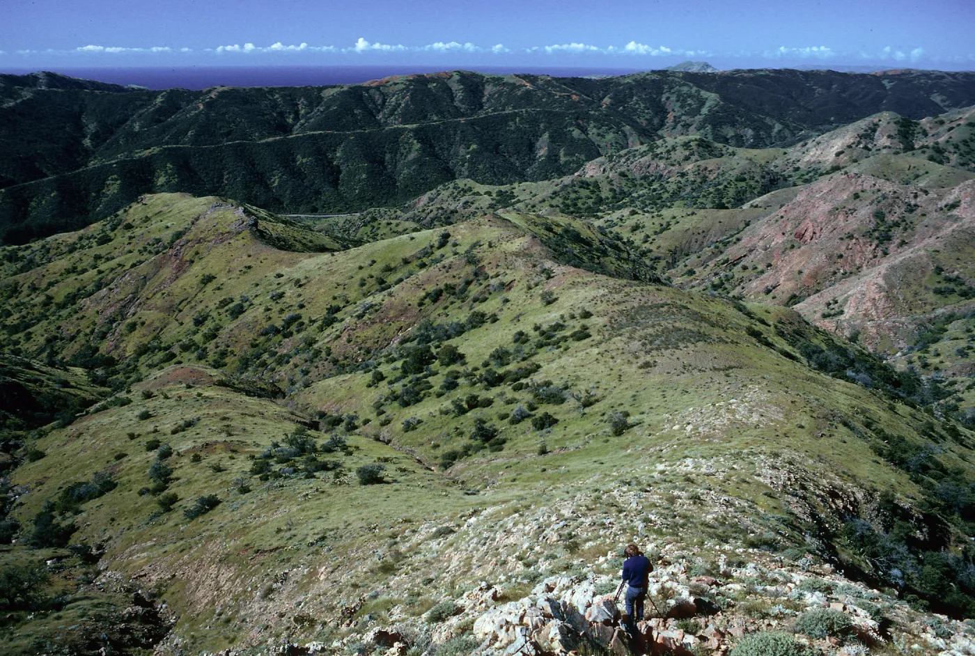 Central Valley from trail to Peak 1848 East, Santa Cruz Island