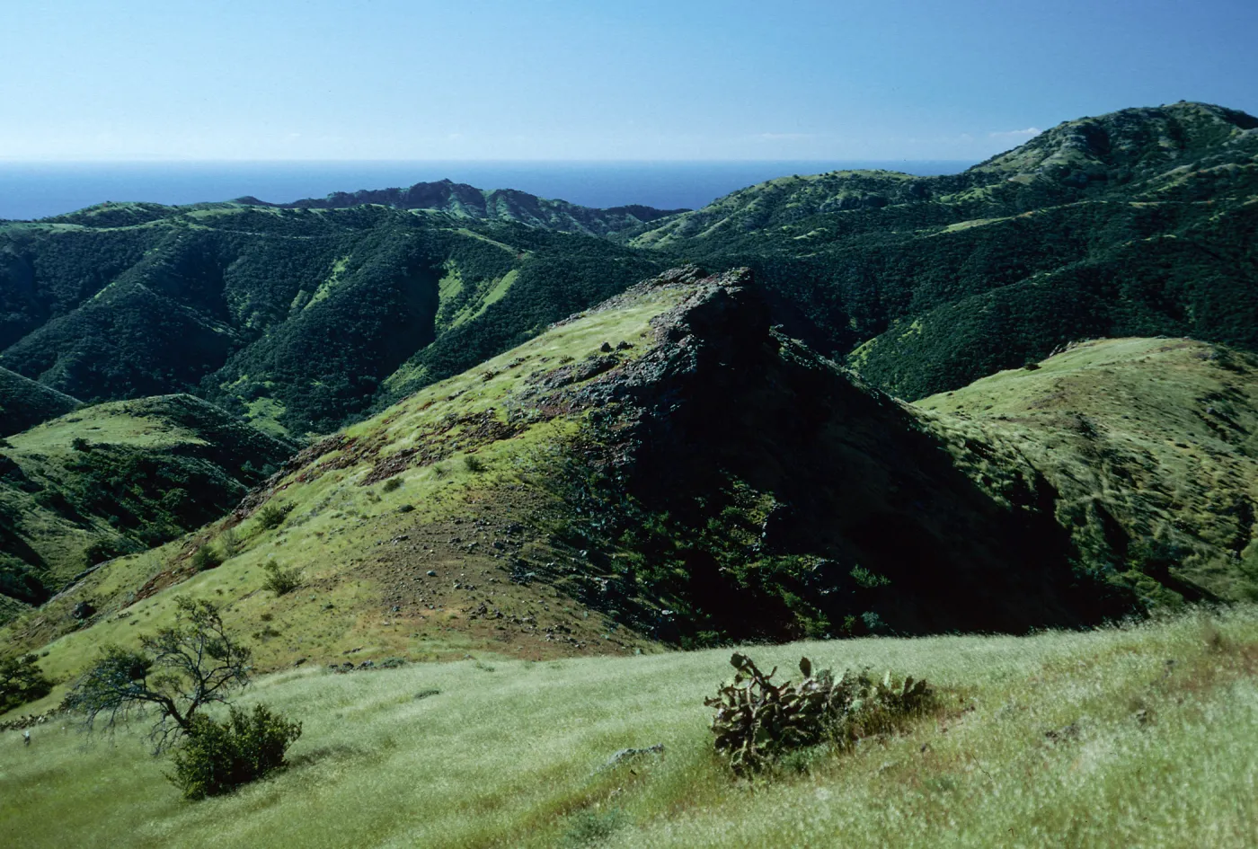 Central Valley from trail to Peak 1848 East, Santa Cruz Island