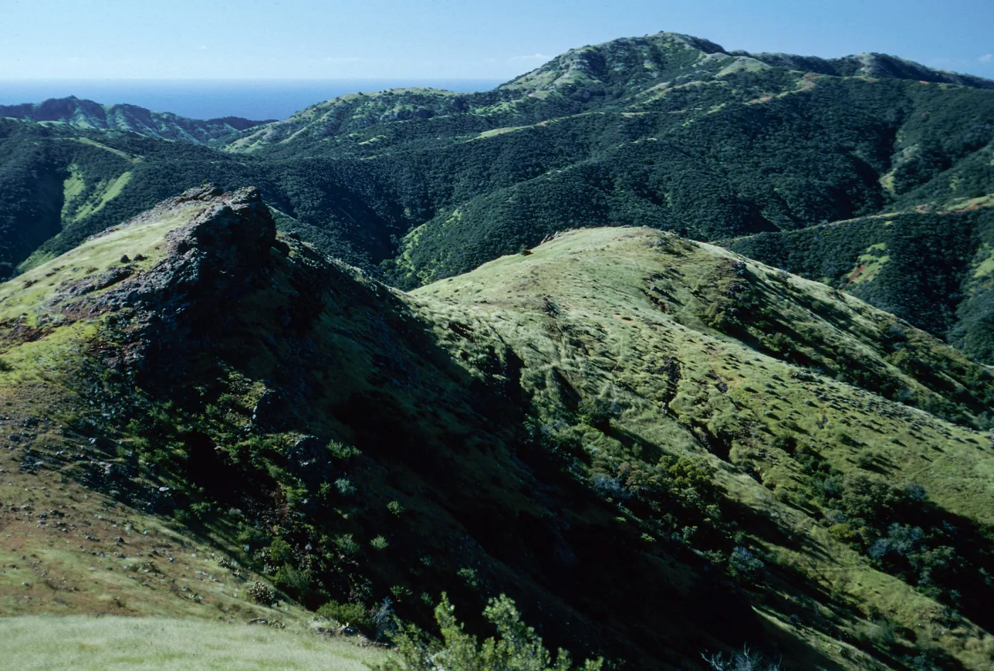 Central Valley from trail to Peak 1848 East, Santa Cruz Island