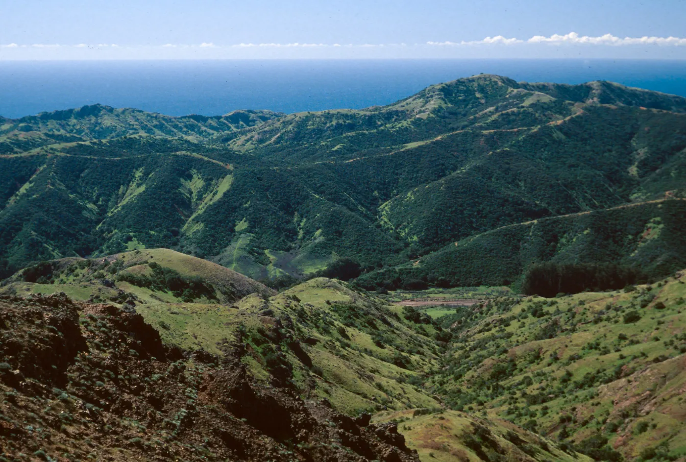 Central Valley from near Peak 1848 East, Santa Cruz Island