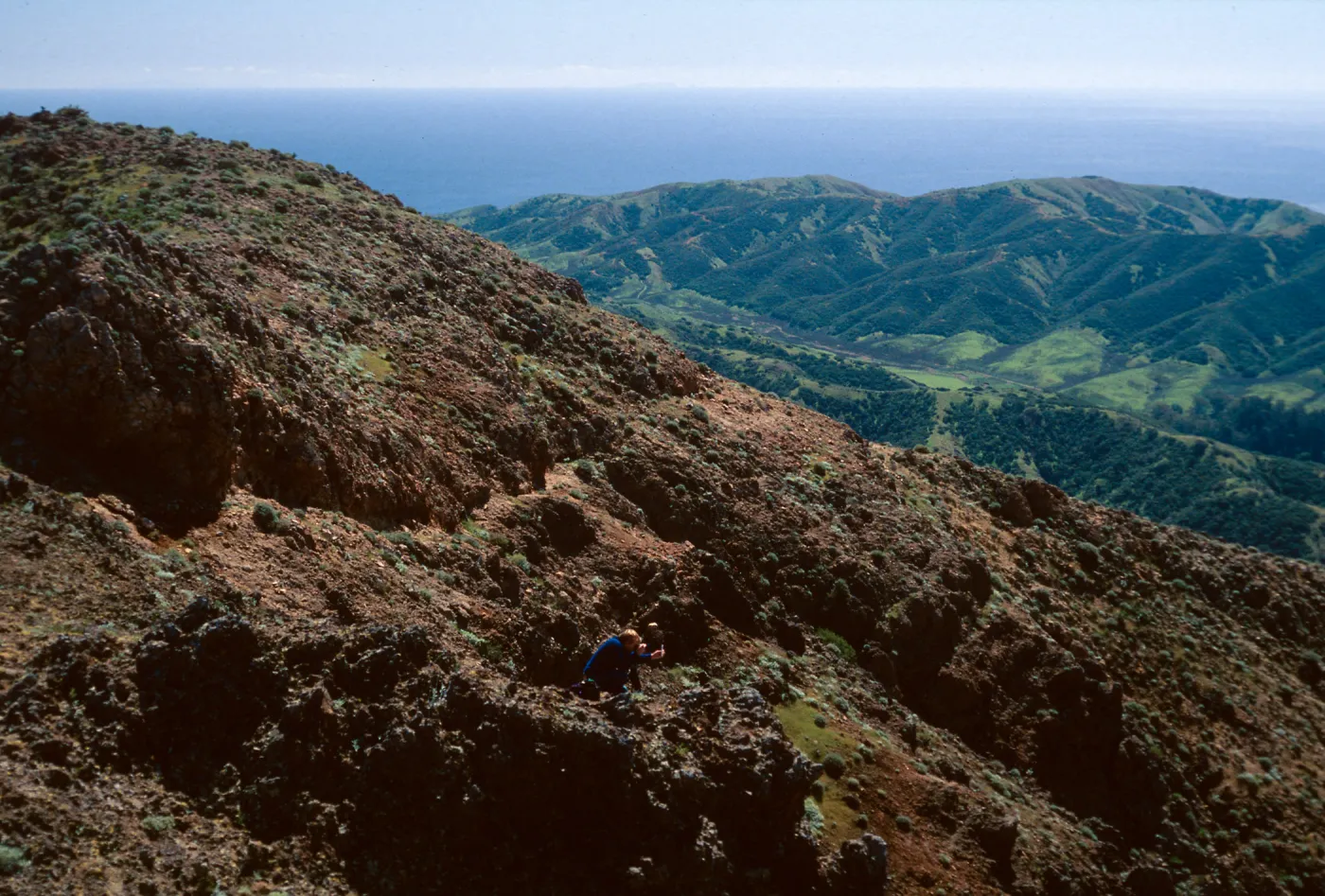 Central Valley from hike to Peak 1848 East, Santa Cruz Island