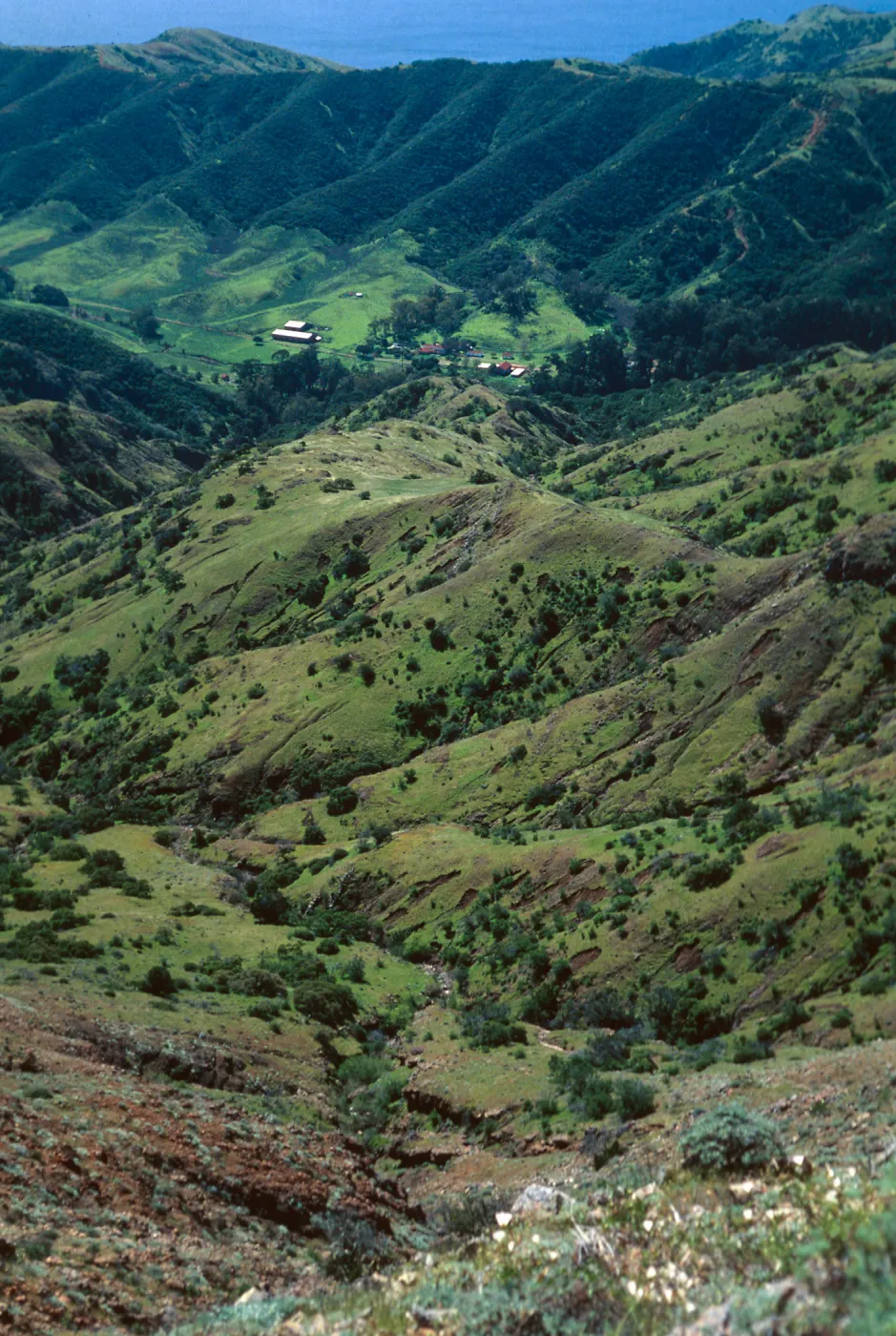 Stanton Ranch from trail to Peak 1848 East, Santa Cruz Island