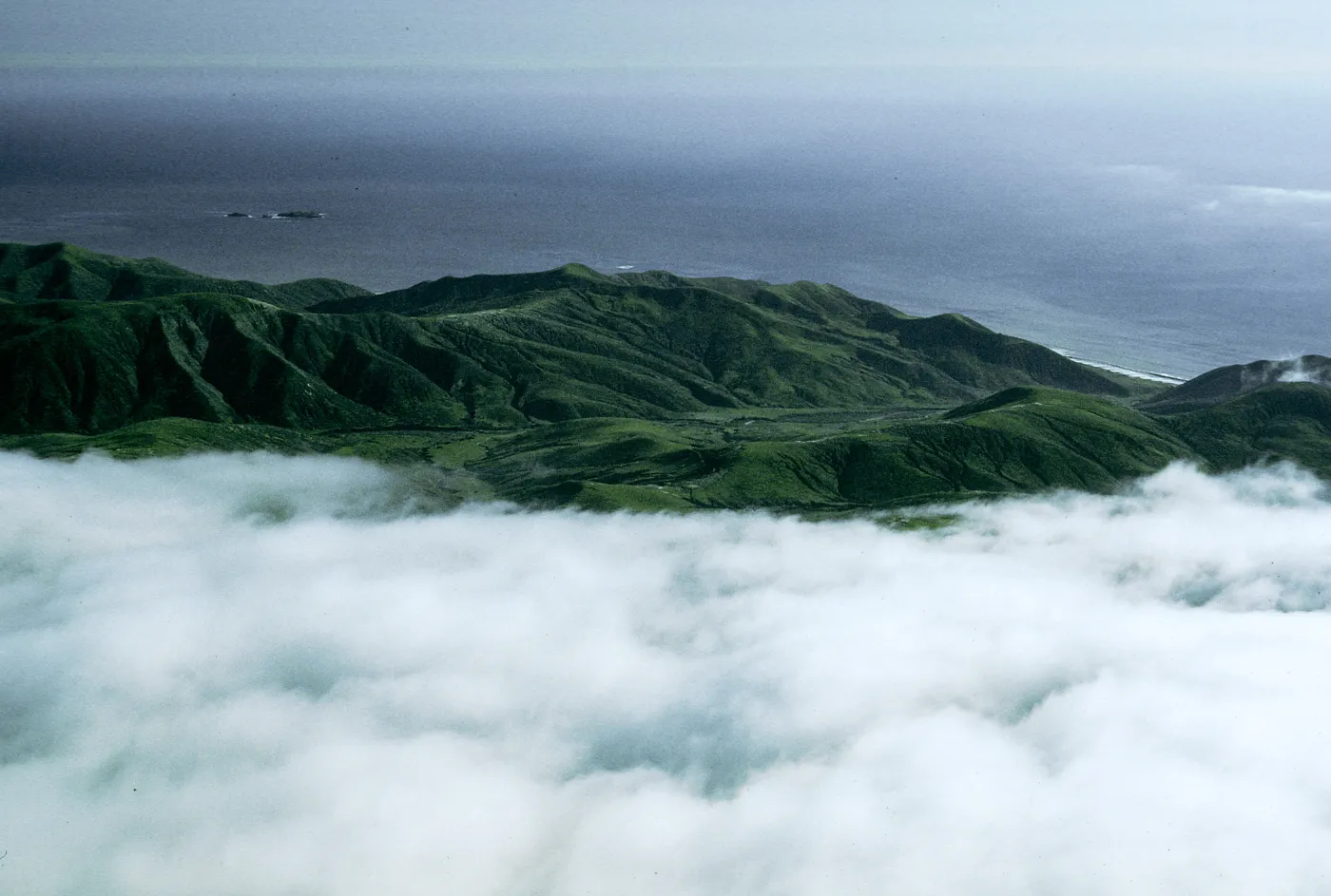 Pozo Canyon area, w/fog, Santa Cruz Island