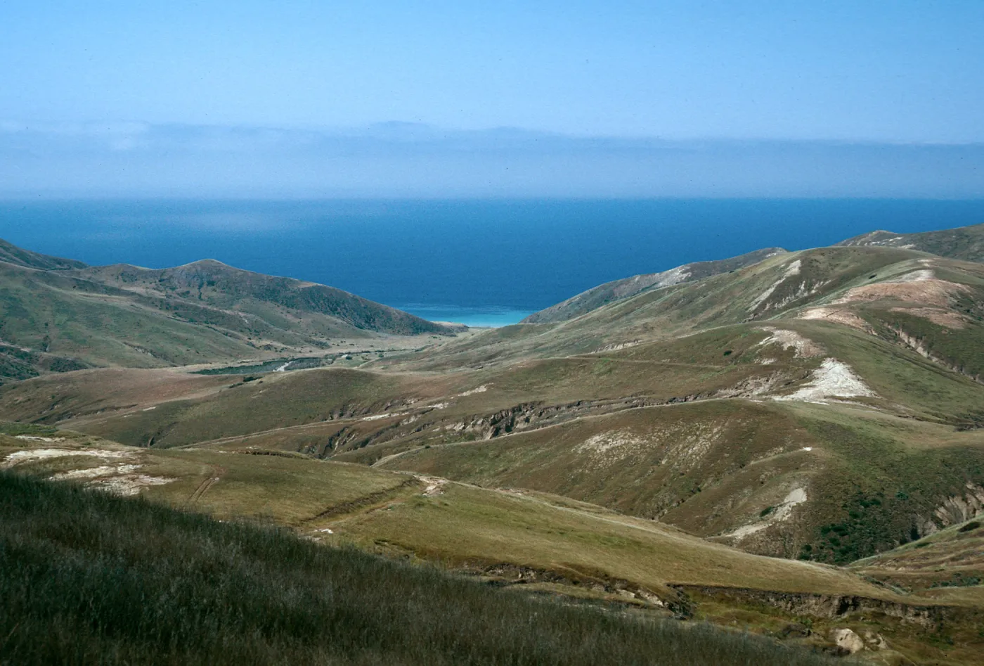 Pozo Canyon, Santa Cruz Island