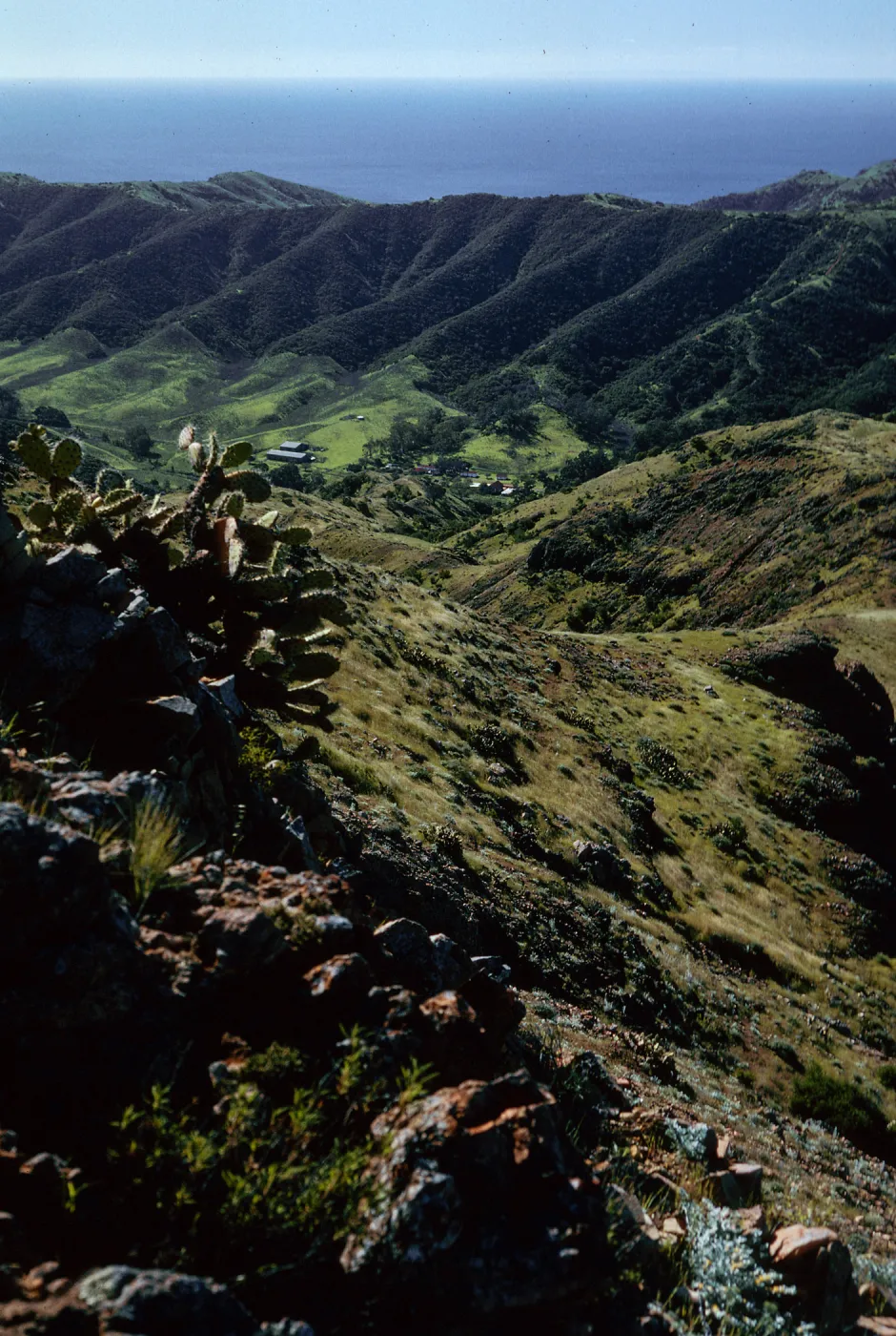 Stanton Ranch from trail to Peak 1848 East, Santa Cruz Island