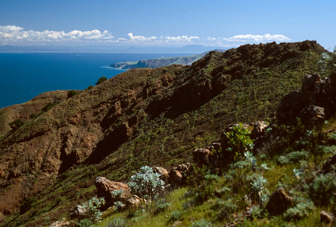 North side from Peak 1848 East, Santa Cruz Island