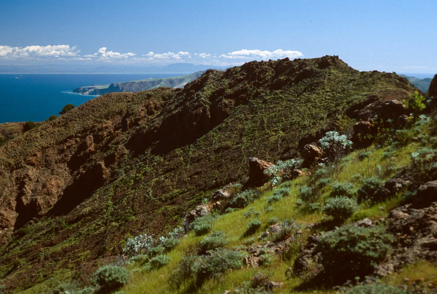 North shore from near Peak 1848 East, Santa Cruz Island