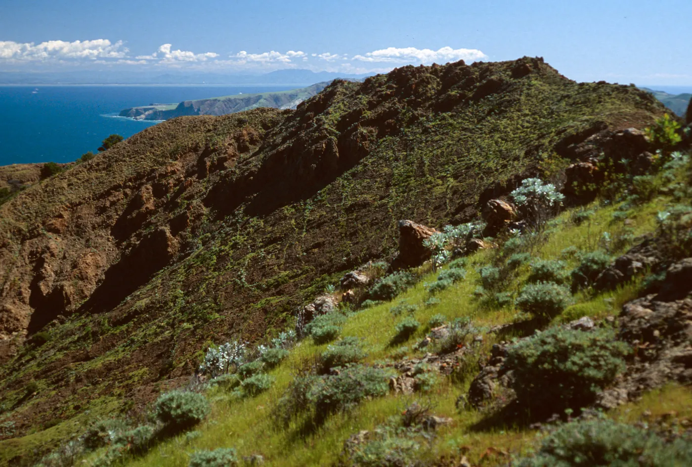 North shore from near Peak 1848 East, Santa Cruz Island