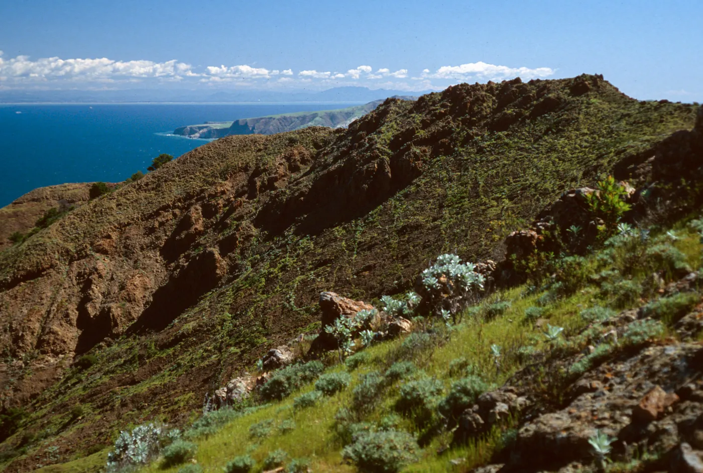 North shore from near Peak 1848 East, Santa Cruz Island