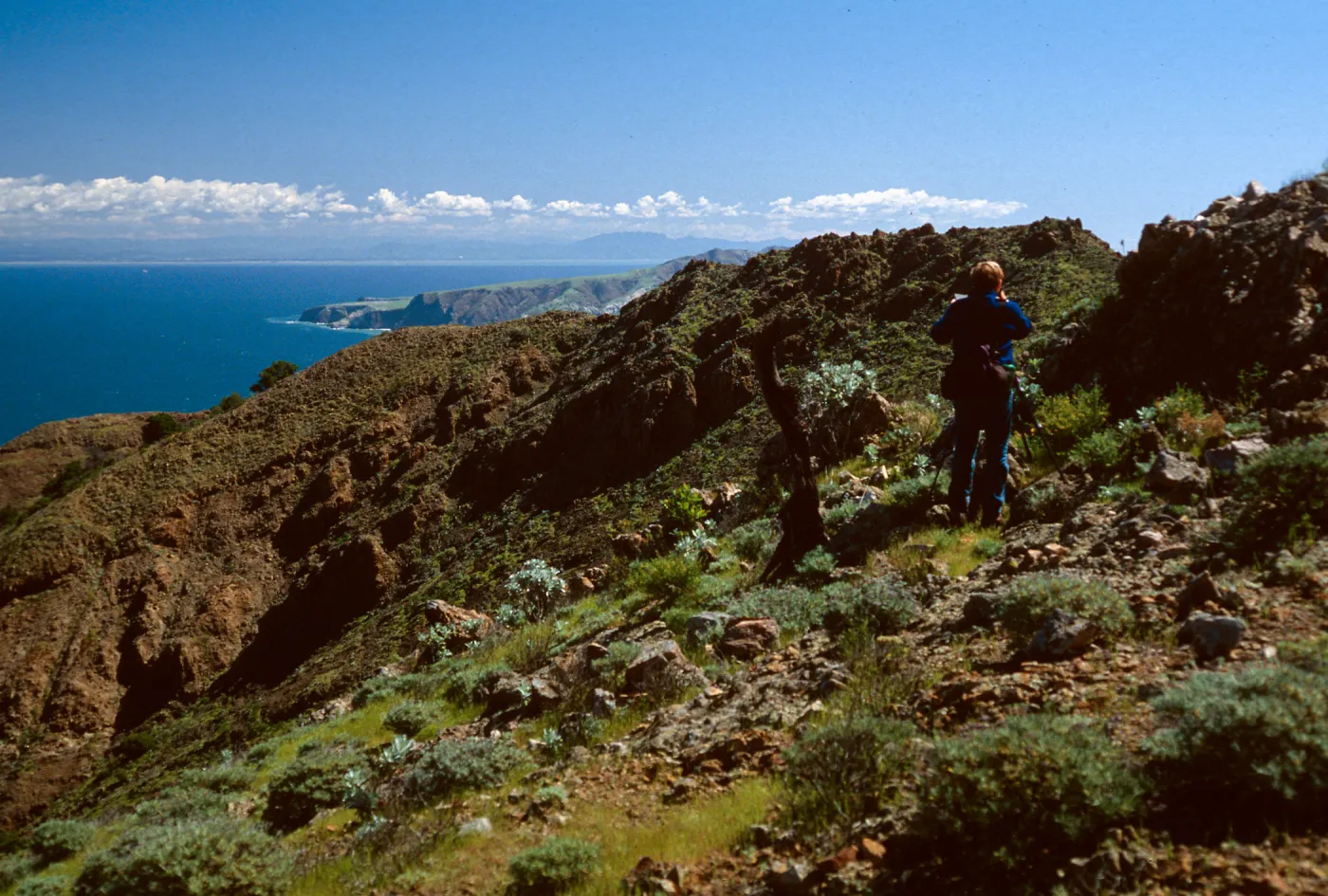 Tim Houf, looking East rom North ridge, near Peak 1848 East, Santa Cruz Island
