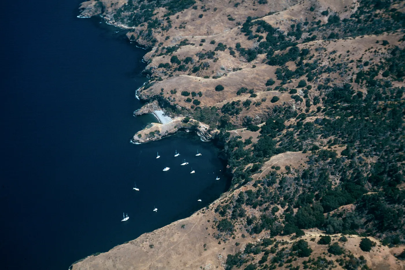 Pelican Bay, Santa Cruz Island