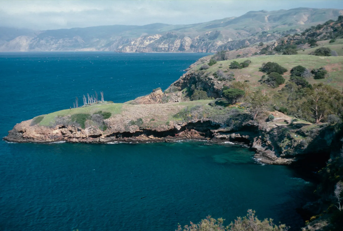 Pelican Bay, Santa Cruz Island