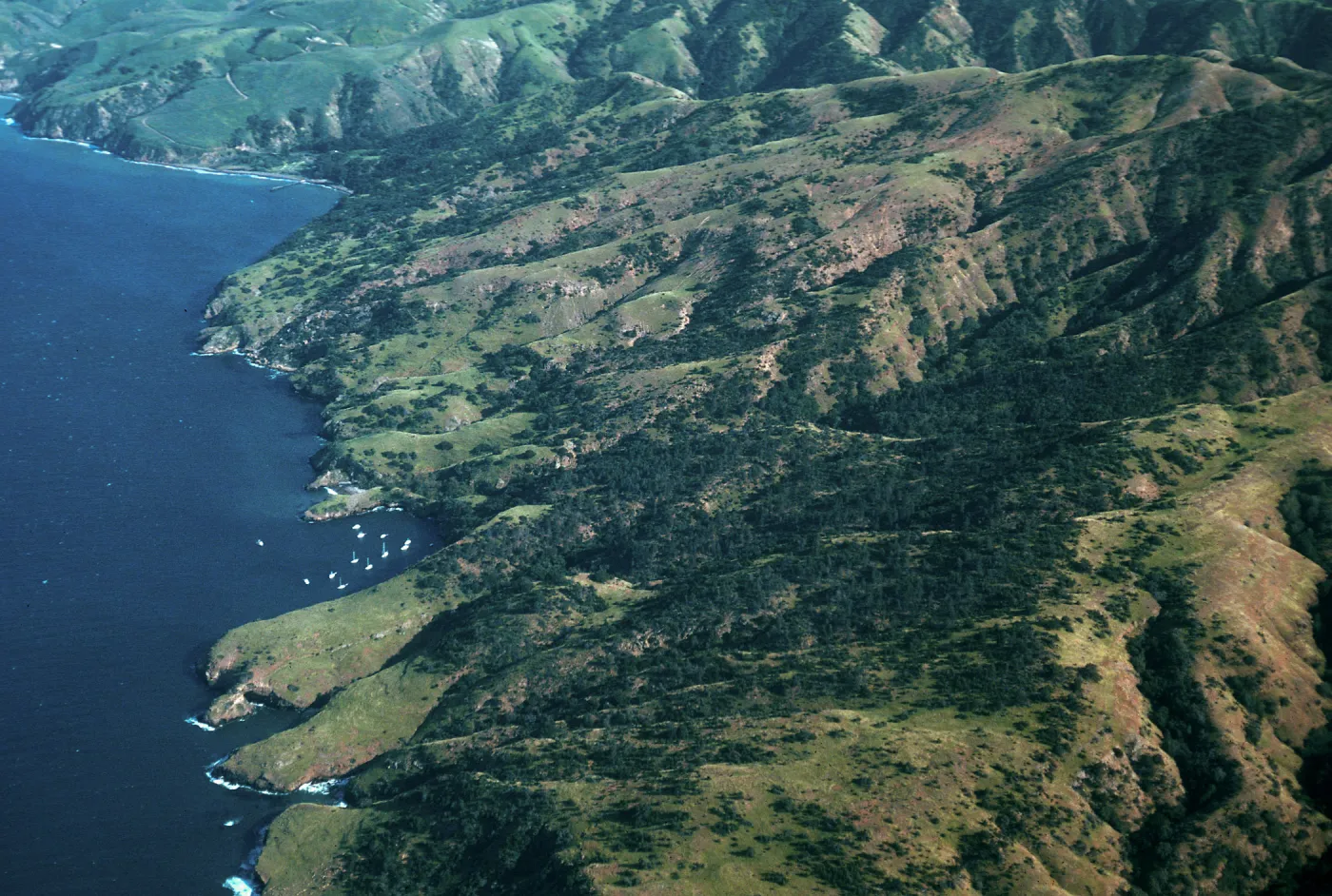 Pelican Bay & vicinity, Santa Cruz Island