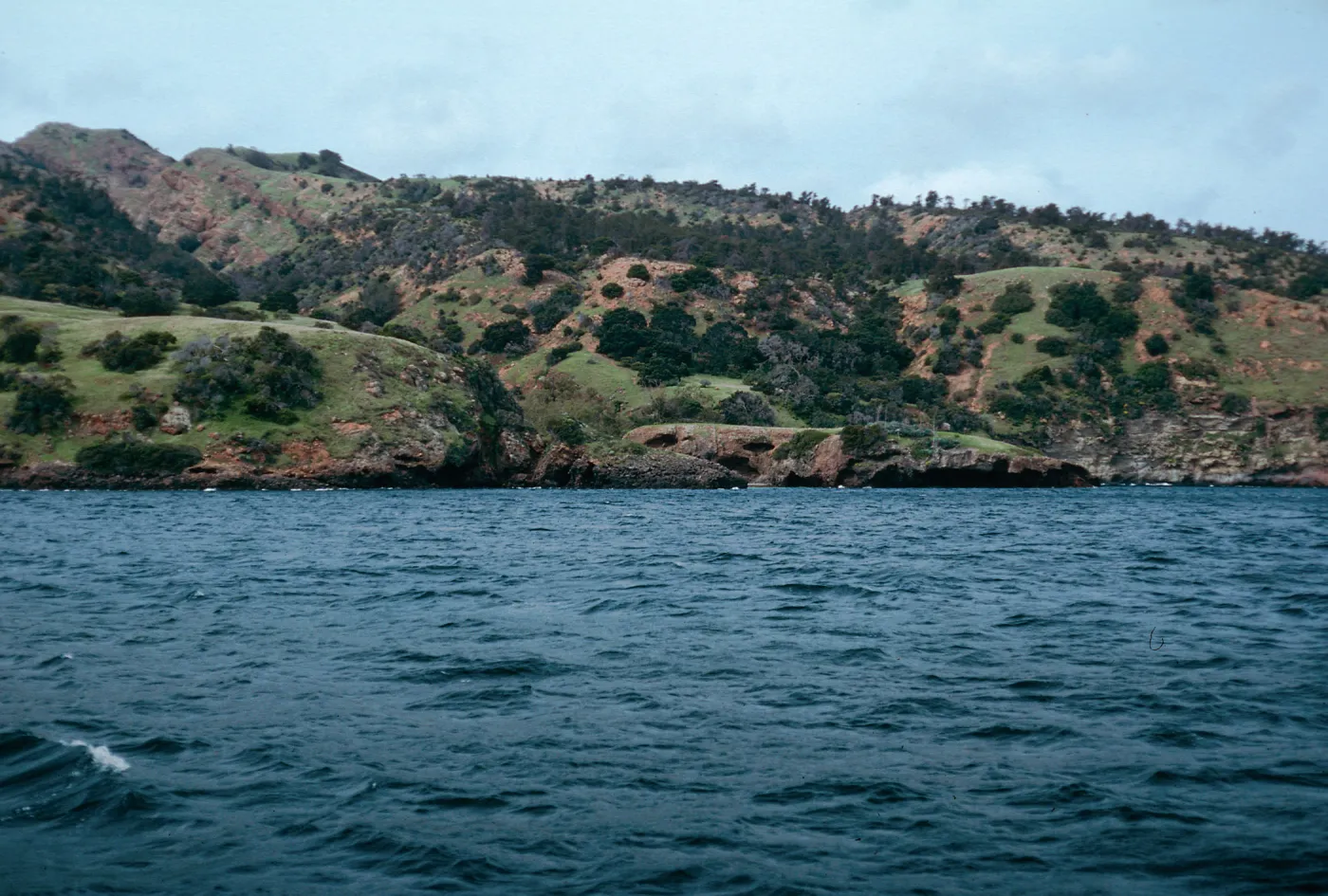 between Pelican Bay & Prisoners Harbor, Santa Cruz Island