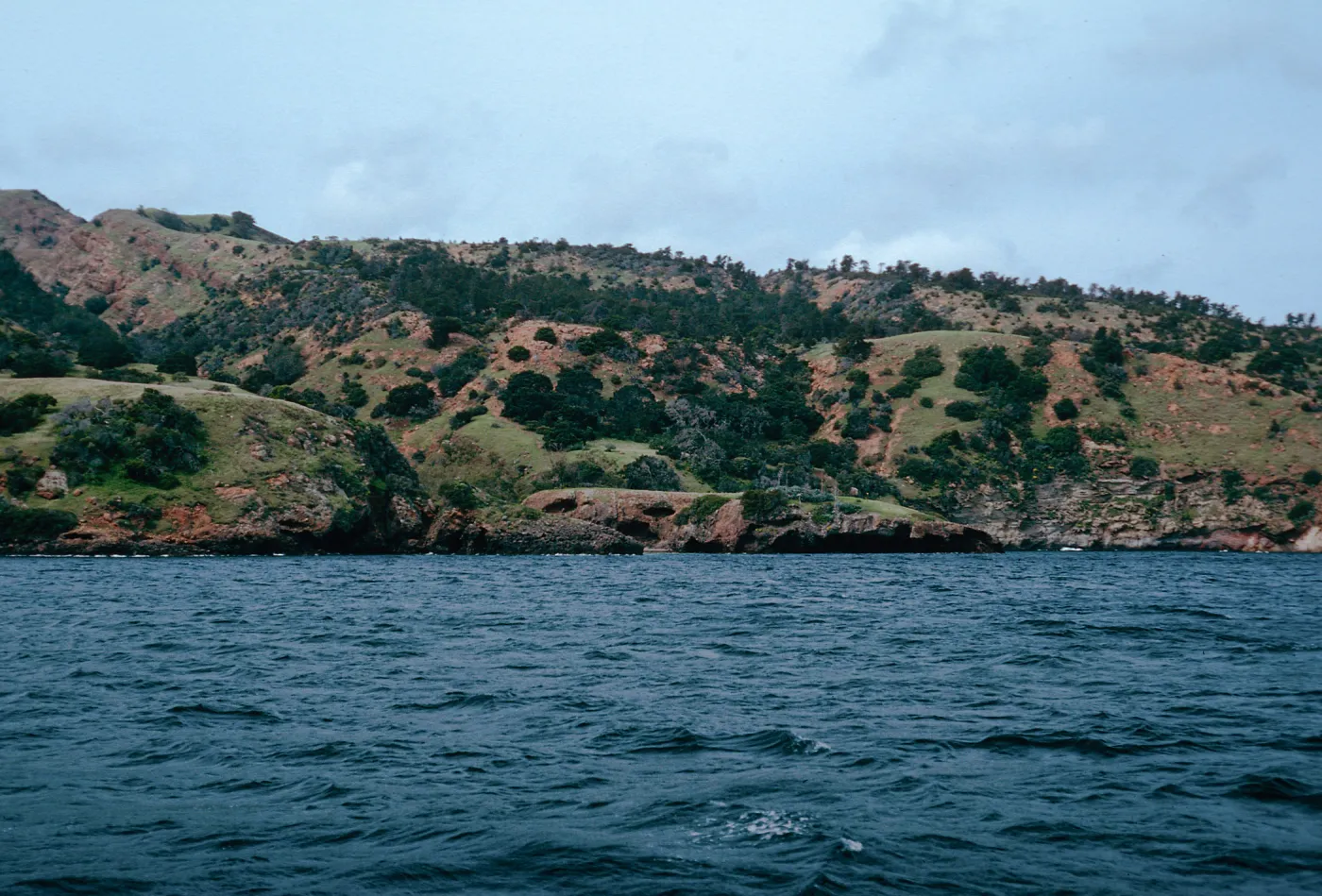 between Pelican Bay & Prisoners Harbor, Santa Cruz Island