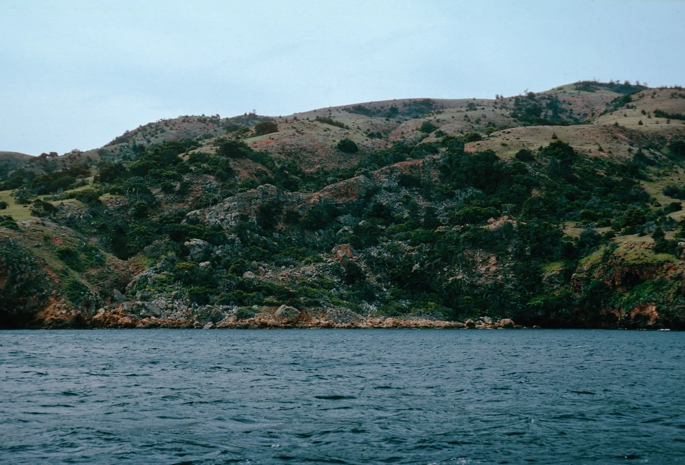 rockslide area, between Pelican Bay & Prisoners Harbor, Santa Cruz Island