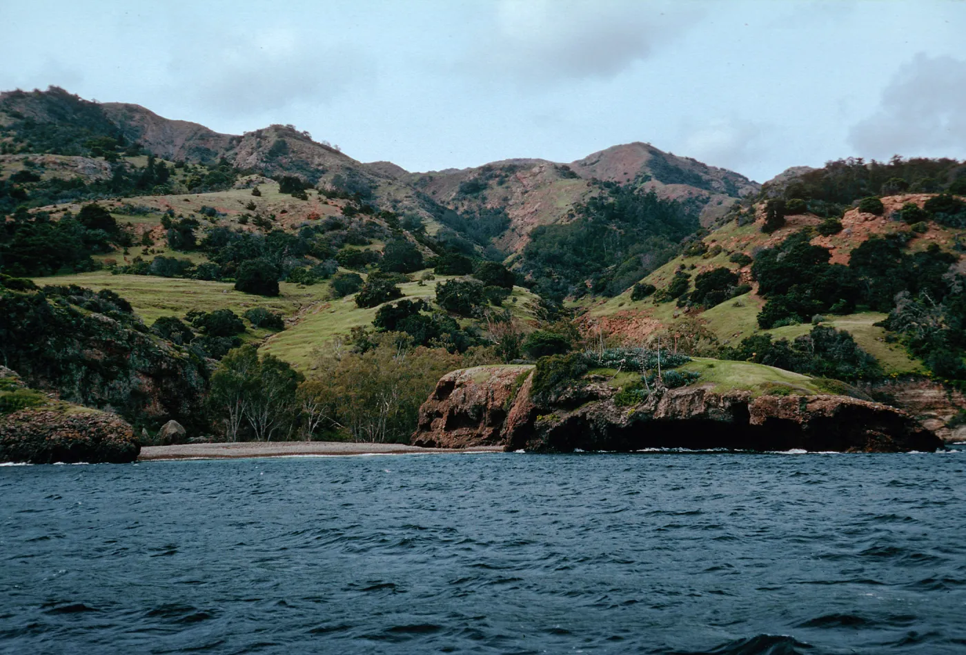 Tinkers, Pelican Bay, Santa Cruz Island