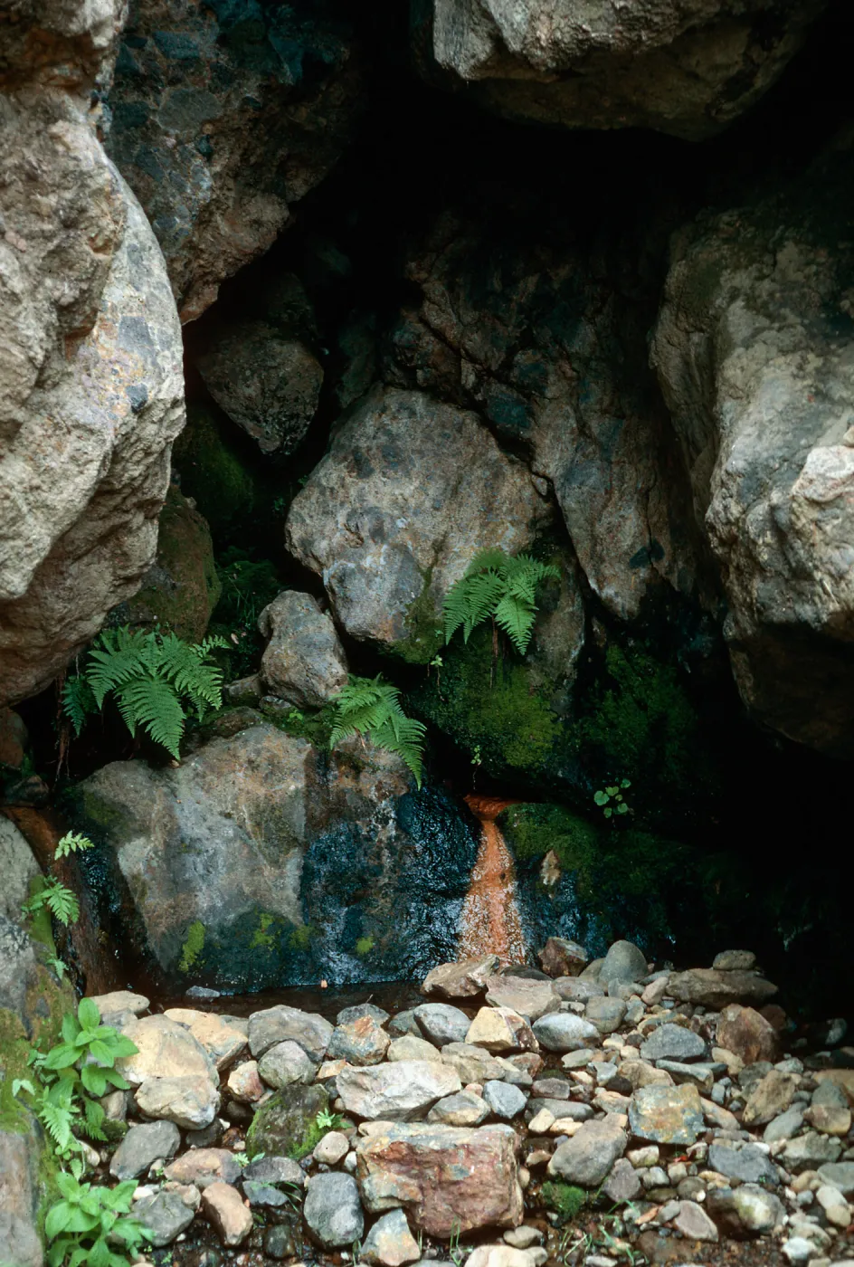 seep at Tinkers Cove, Santa Cruz Island