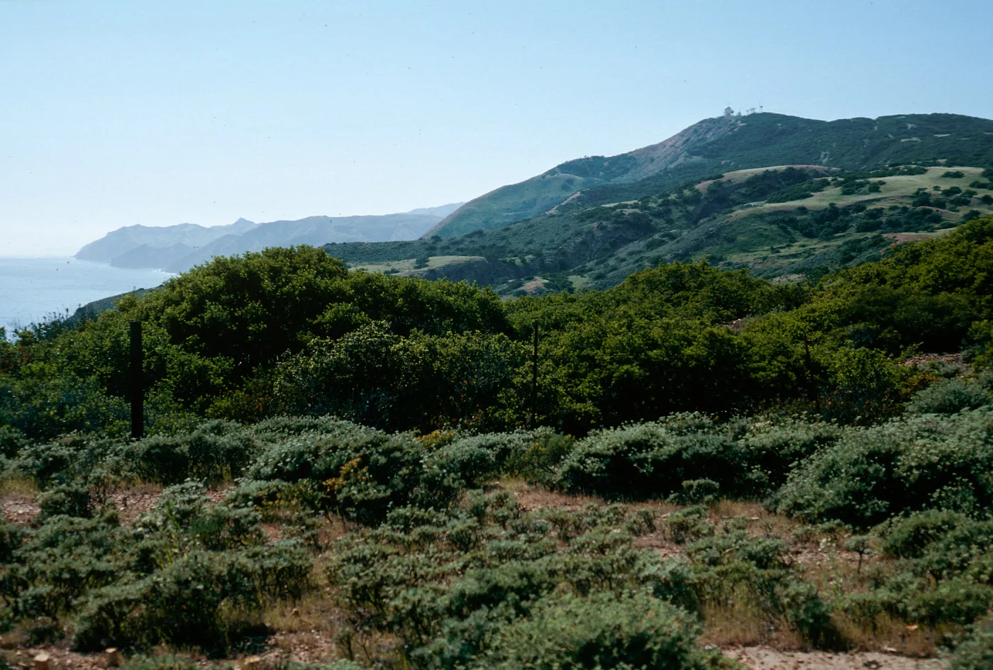 Isthmus, Santa Cruz Island