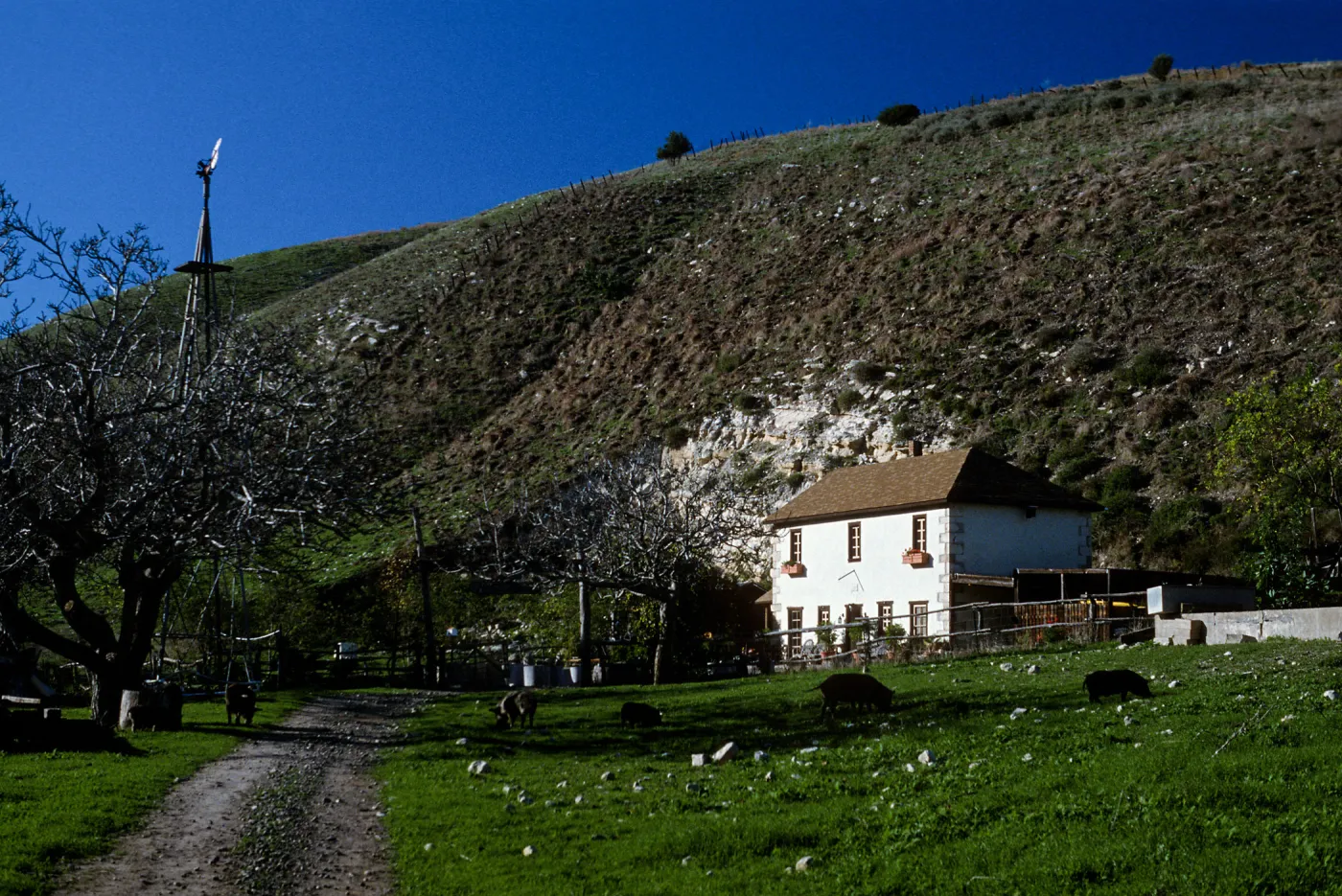 Smugglers Ranch, Santa Cruz Island
