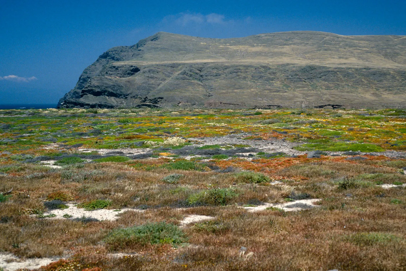 coastal flats, Fraser Point, Santa Cruz Island