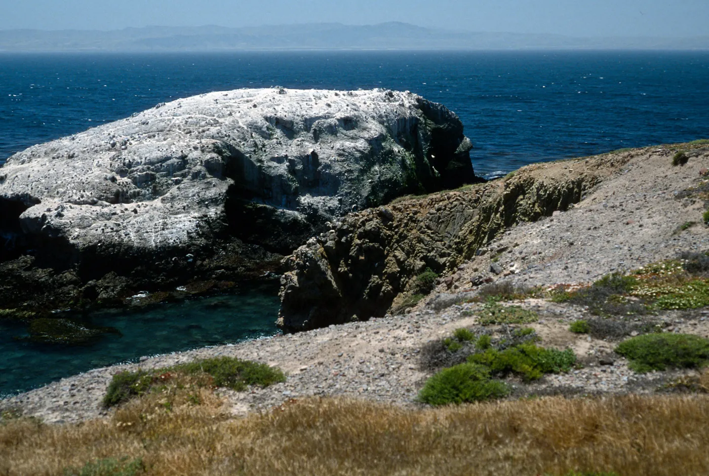 Cormorant Rocks, Fraser Point, Santa Cruz Island