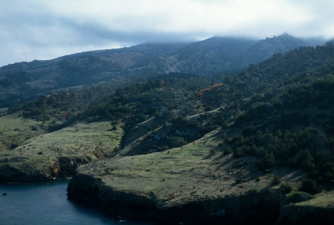 Orizaba Flats, Santa Cruz Island