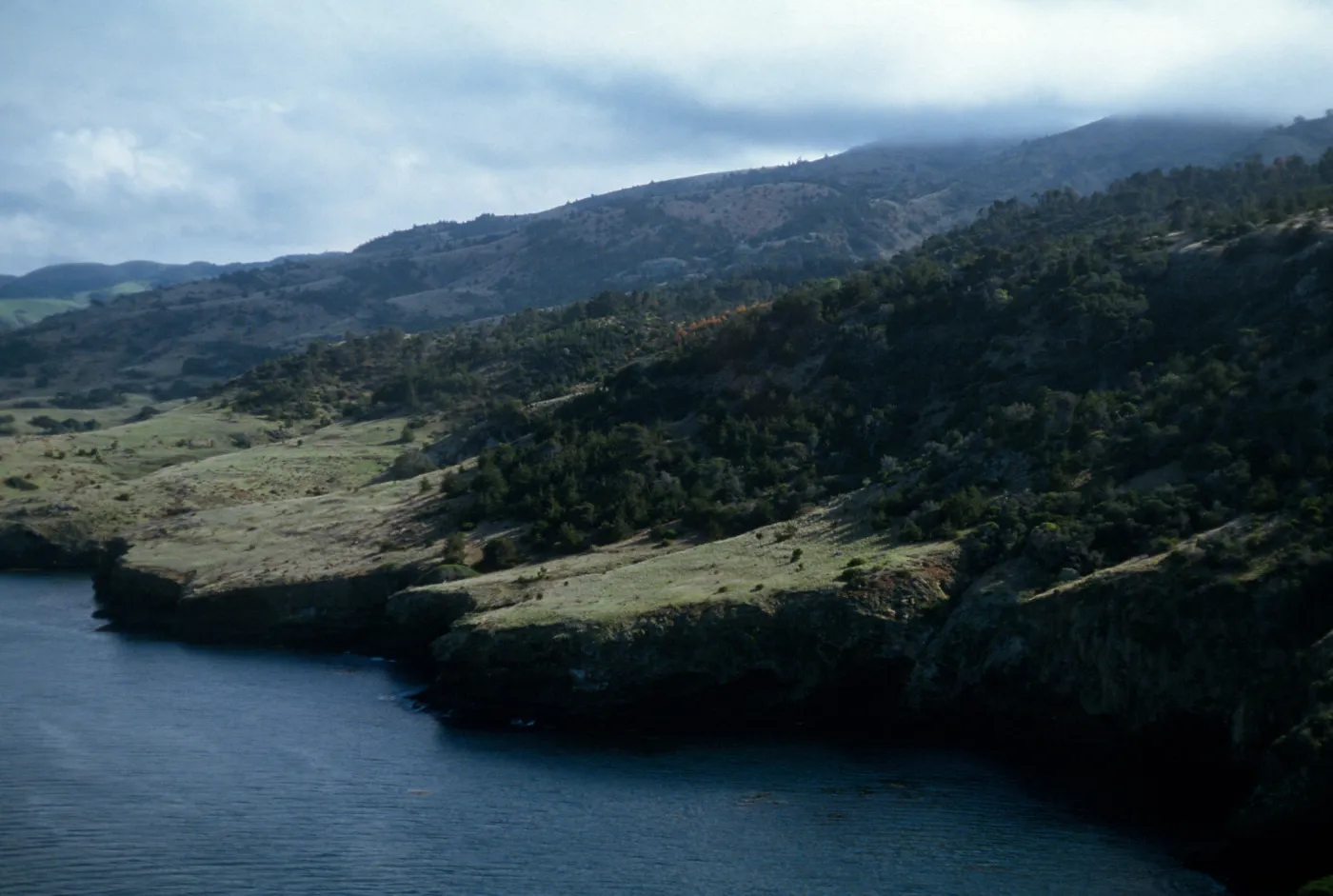 Orizaba Flats, Santa Cruz Island