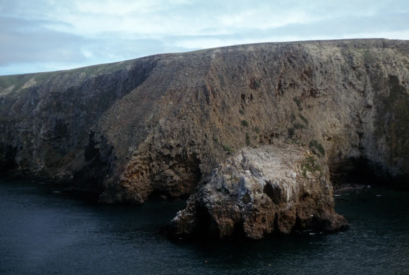 Cavern Point area, Santa Cruz Island