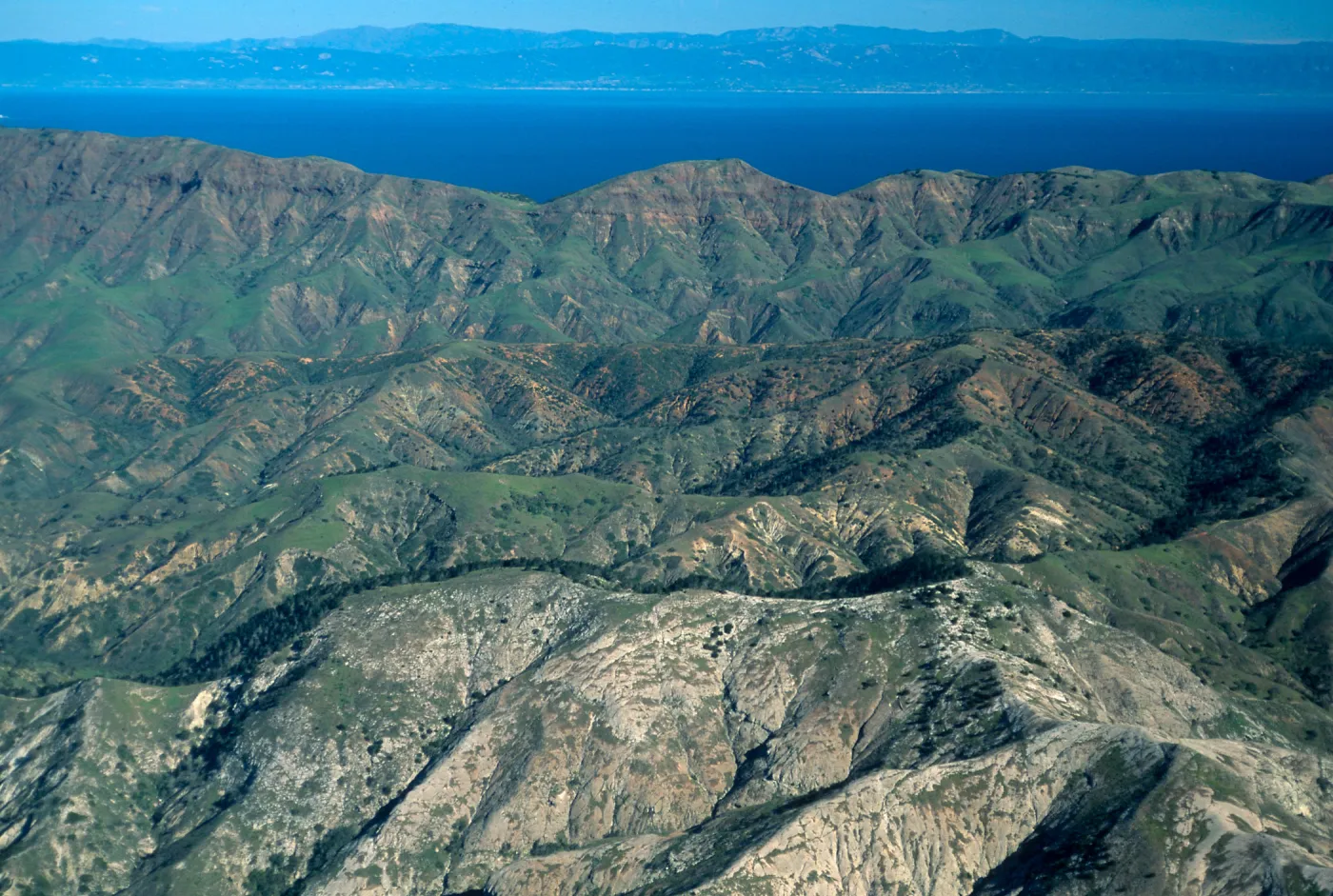 Central Valley, Santa Cruz Island
