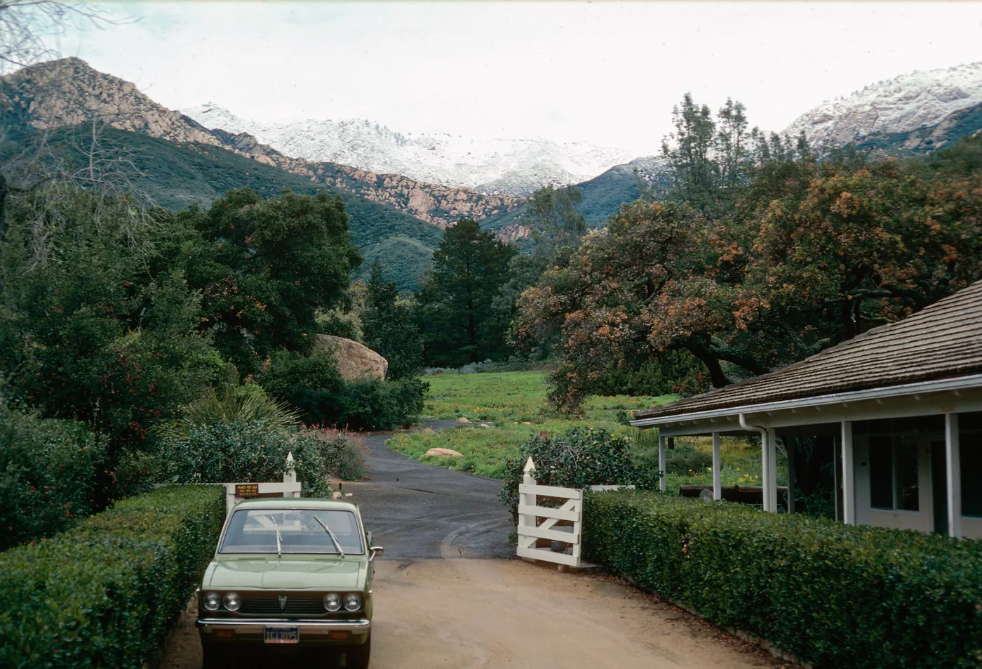 snow on Santa Ynez Mountains, Santa Barbara Botanic Garden